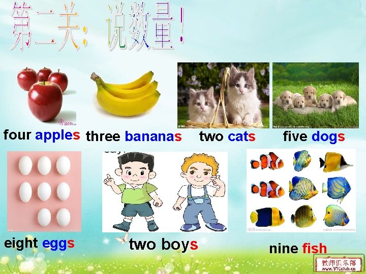 four apples three bananas eight eggs two boys two cats five dogs nine fish