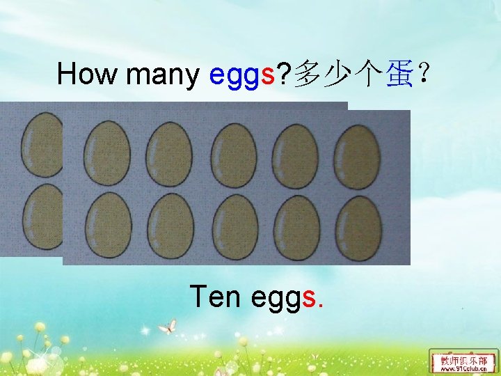 How many eggs? 多少个蛋？ Ten eggs. 