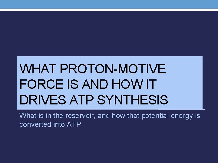 WHAT PROTON-MOTIVE FORCE IS AND HOW IT DRIVES ATP SYNTHESIS What is in the