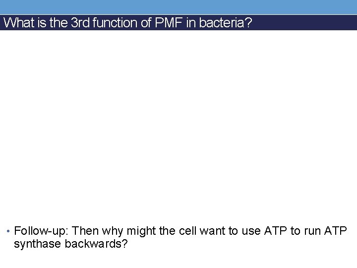 What is the 3 rd function of PMF in bacteria? • Follow-up: Then why