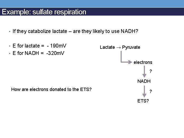 Example: sulfate respiration • If they catabolize lactate – are they likely to use