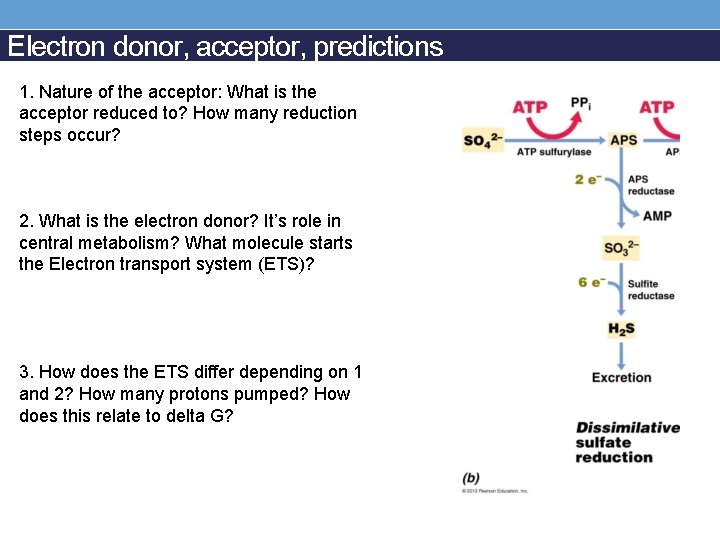 Electron donor, acceptor, predictions 1. Nature of the acceptor: What is the acceptor reduced