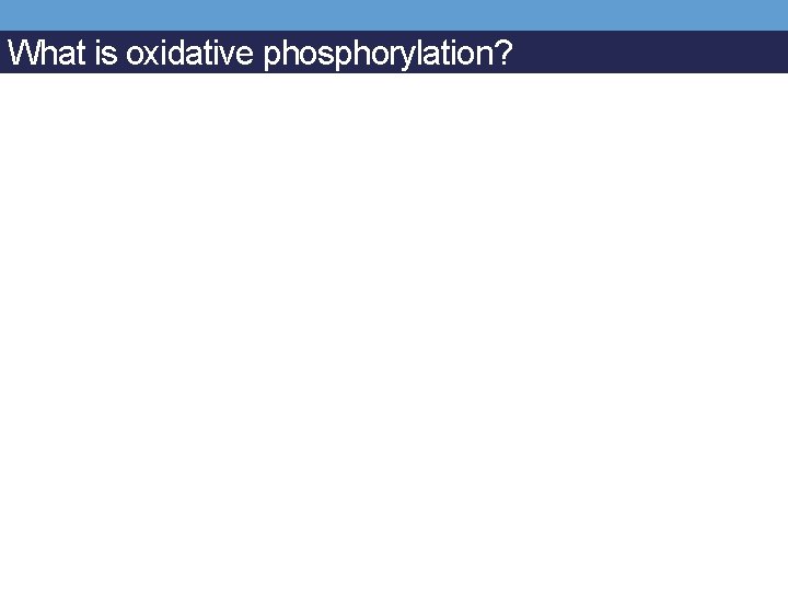 What is oxidative phosphorylation? 