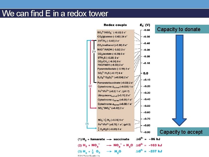 We can find E in a redox tower Capacity to donate Capacity to accept