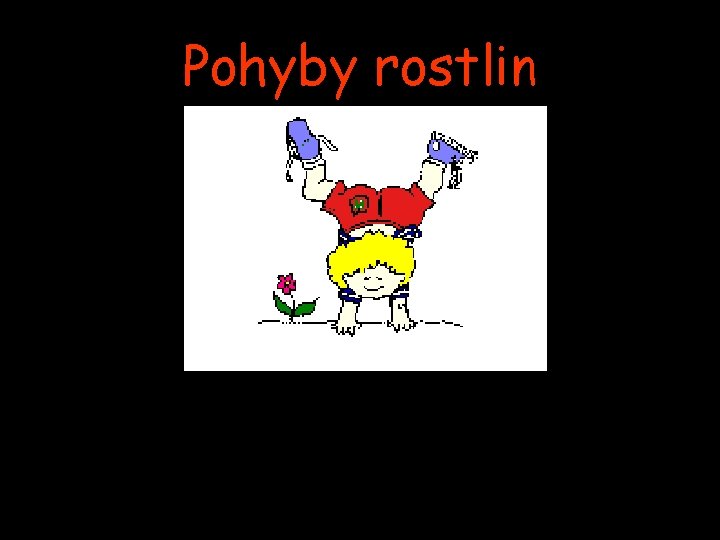 Pohyby rostlin 