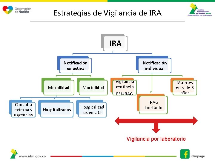 Estrategias de Vigilancia de IRA Notificación colectiva Morbilidad Consulta externa y urgencias Hospitalizados Mortalidad