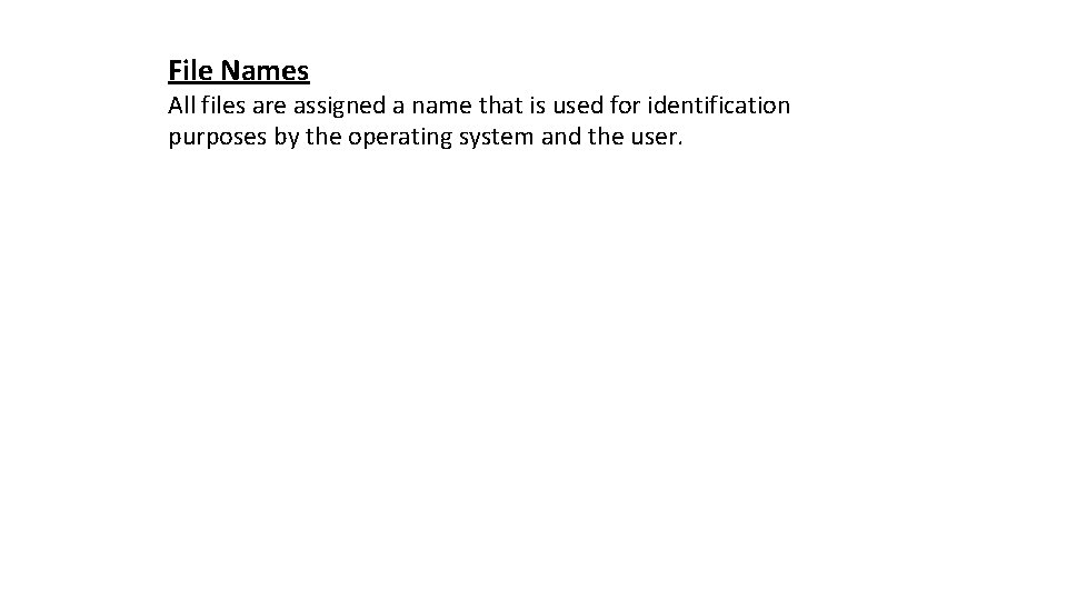 File Names All files are assigned a name that is used for identification purposes