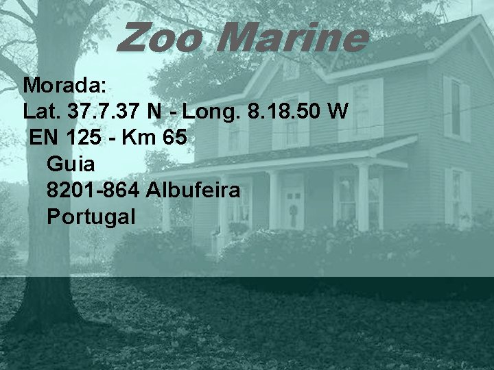 Zoo Marine Morada: Lat. 37. 7. 37 N - Long. 8. 18. 50 W