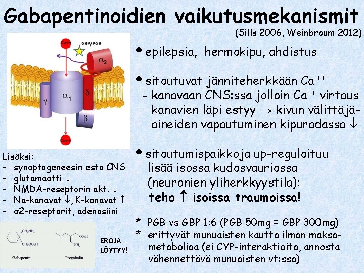 Gabapentinoidien vaikutusmekanismit (Sills 2006, Weinbroum 2012) epilepsia, hermokipu, ahdistus sitoutuvat jänniteherkkään Ca ++ -