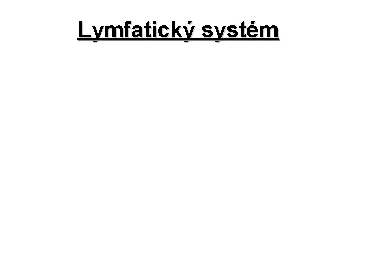 Lymfatický systém 