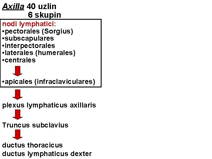 Axilla 40 uzlin 6 skupin nodi lymphatici: • pectorales (Sorgius) • subscapulares • interpectorales