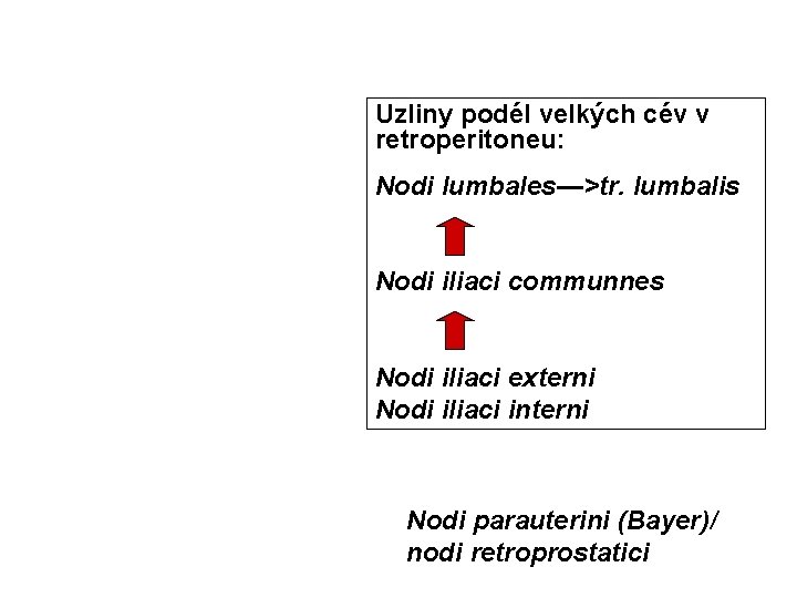 Uzliny podél velkých cév v retroperitoneu: Nodi lumbales—>tr. lumbalis Nodi iliaci communnes Nodi iliaci