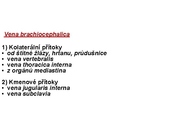 Vena brachiocephalica 1) Kolaterální přítoky • od štítné žlázy, hrtanu, průdušnice • vena vertebralis