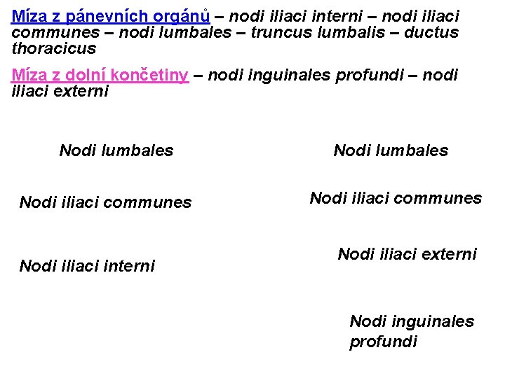 Míza z pánevních orgánů – nodi iliaci interni – nodi iliaci communes – nodi