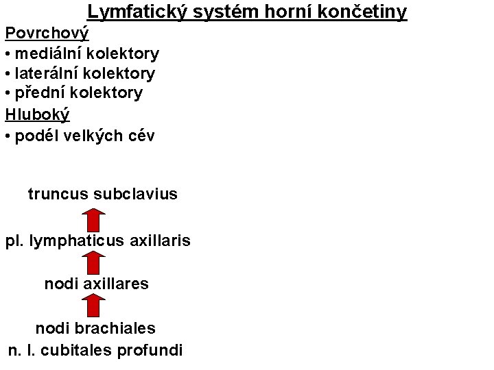 Lymfatický systém horní končetiny Povrchový • mediální kolektory • laterální kolektory • přední kolektory