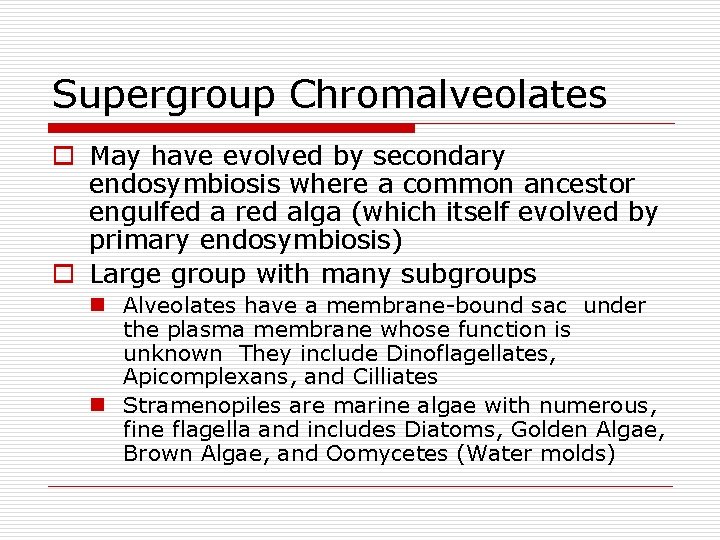 Supergroup Chromalveolates o May have evolved by secondary endosymbiosis where a common ancestor engulfed Supergroup Chromalveolates o May have evolved by secondary endosymbiosis where a common ancestor engulfed