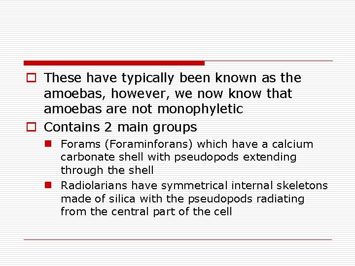 o These have typically been known as the amoebas, however, we now know that o These have typically been known as the amoebas, however, we now know that
