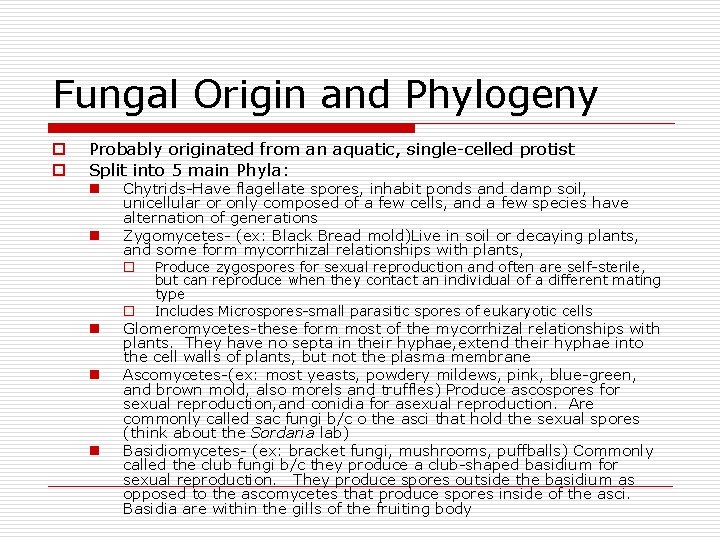 Fungal Origin and Phylogeny o o Probably originated from an aquatic, single-celled protist Split Fungal Origin and Phylogeny o o Probably originated from an aquatic, single-celled protist Split