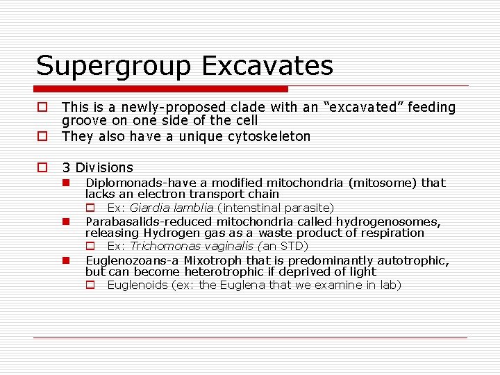 Supergroup Excavates o This is a newly-proposed clade with an “excavated” feeding groove on Supergroup Excavates o This is a newly-proposed clade with an “excavated” feeding groove on