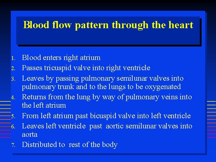 Blood flow pattern through the heart 1. 2. 3. 4. 5. 6. 7. Blood