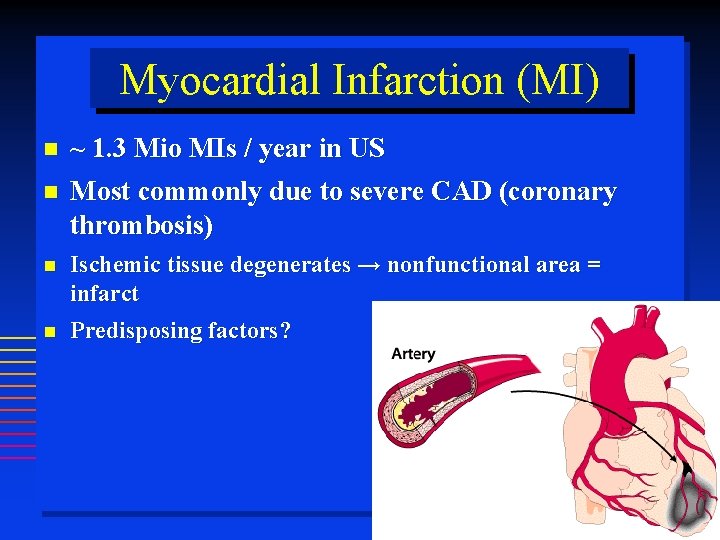 Myocardial Infarction (MI) ~ 1. 3 Mio MIs / year in US Most commonly