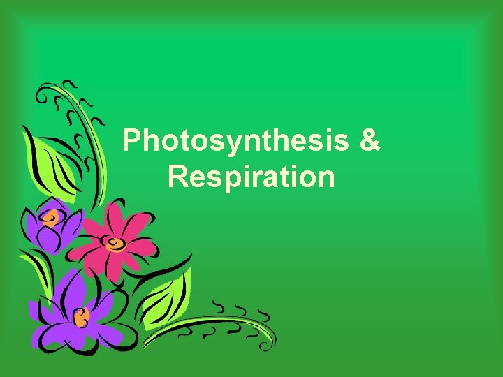 Photosynthesis & Respiration 