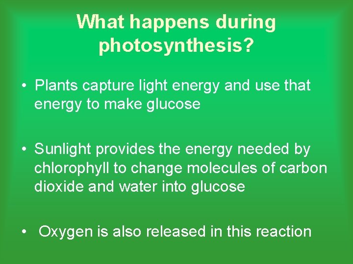What happens during photosynthesis? • Plants capture light energy and use that energy to