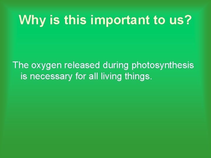 Why is this important to us? The oxygen released during photosynthesis is necessary for