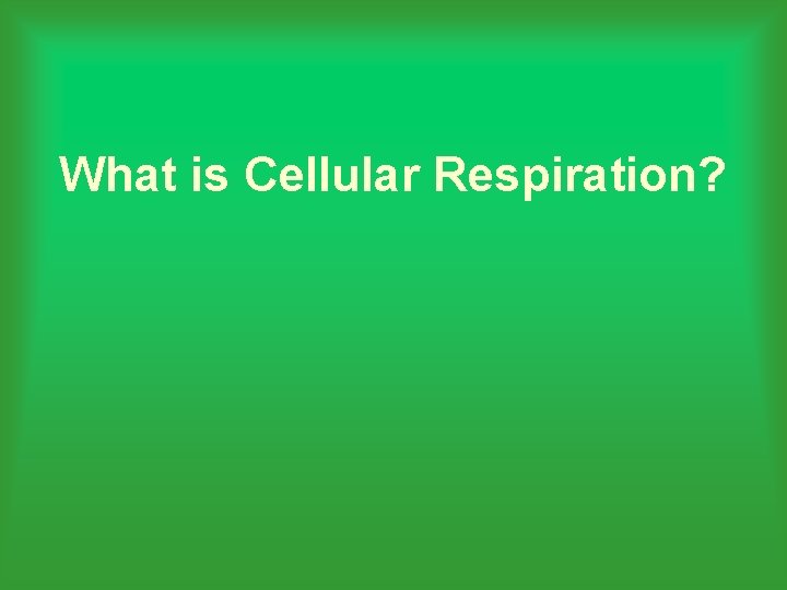 What is Cellular Respiration? 