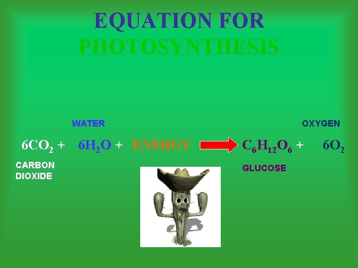 EQUATION FOR PHOTOSYNTHESIS WATER 6 CO 2 + 6 H 2 O + ENERGY