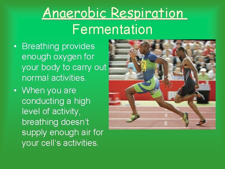 Anaerobic Respiration Fermentation • Breathing provides enough oxygen for your body to carry out