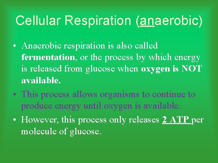 Cellular Respiration (anaerobic) • Anaerobic respiration is also called fermentation, or the process by