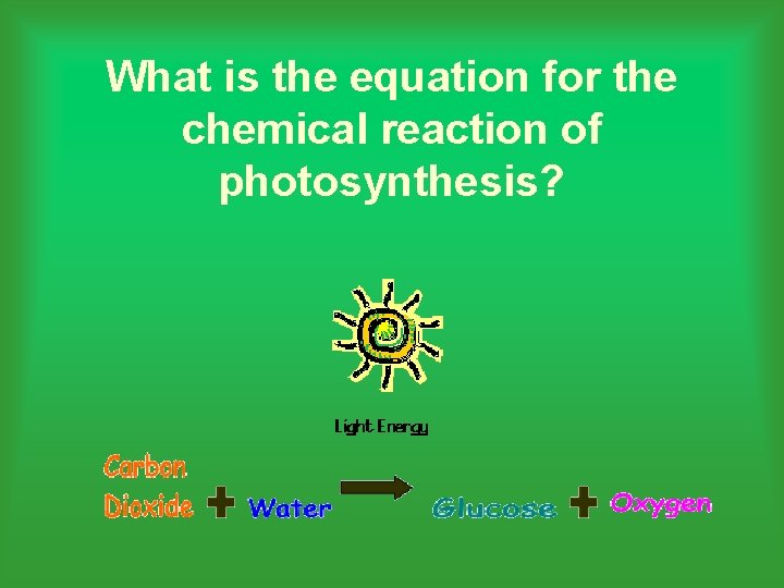What is the equation for the chemical reaction of photosynthesis? 