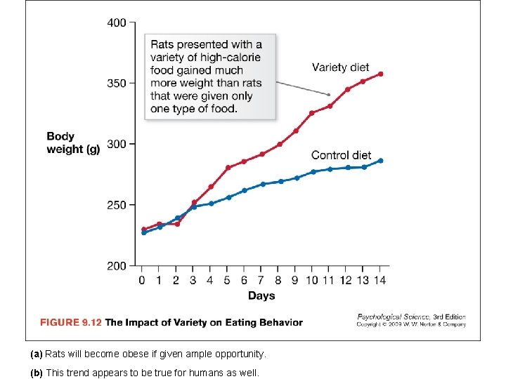 (a) Rats will become obese if given ample opportunity. (b) This trend appears to
