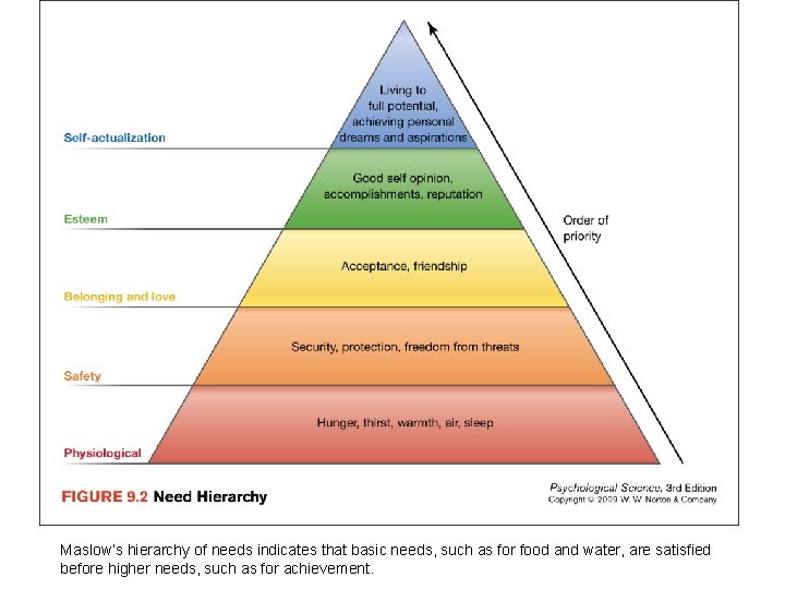 Maslow’s hierarchy of needs indicates that basic needs, such as for food and water,