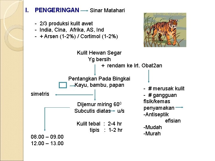 I. PENGERINGAN Sinar Matahari - 2/3 produksi kulit awet - India, Cina, Afrika, AS,