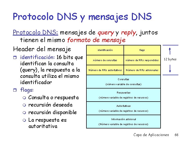 Protocolo DNS y mensajes DNS Protocolo DNS: mensajes de query y reply, juntos tienen