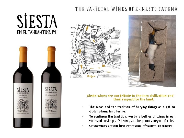 Siesta wines are our tribute to the Inca civilization and their respect for the