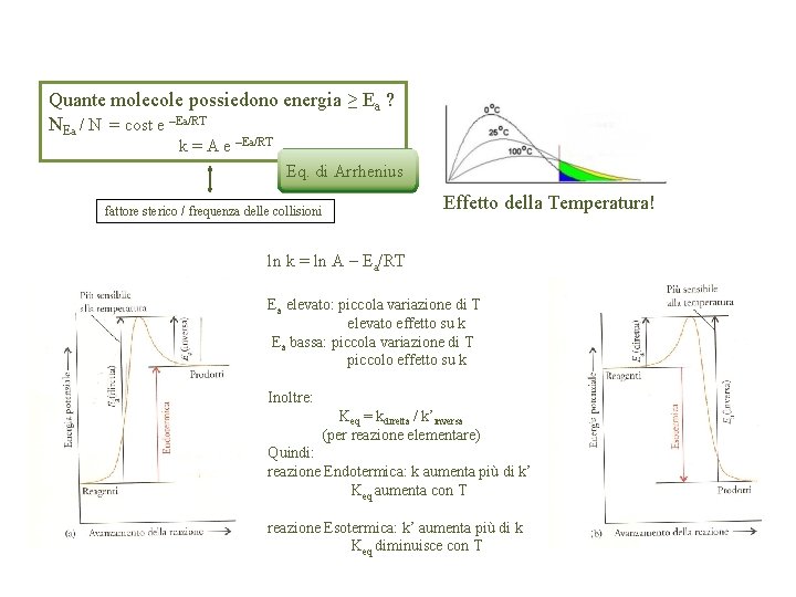 Quante molecole possiedono energia ≥ Ea ? NEa / N = cost e –Ea/RT