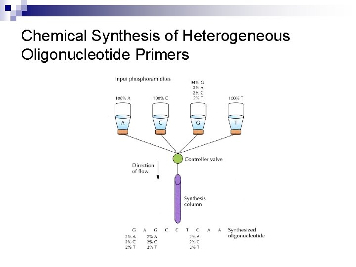 Chemical Synthesis of Heterogeneous Oligonucleotide Primers 