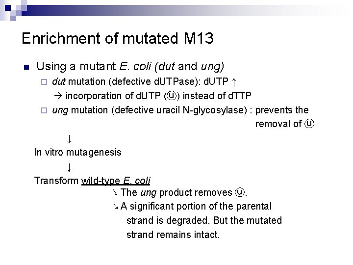 Enrichment of mutated M 13 n Using a mutant E. coli (dut and ung)