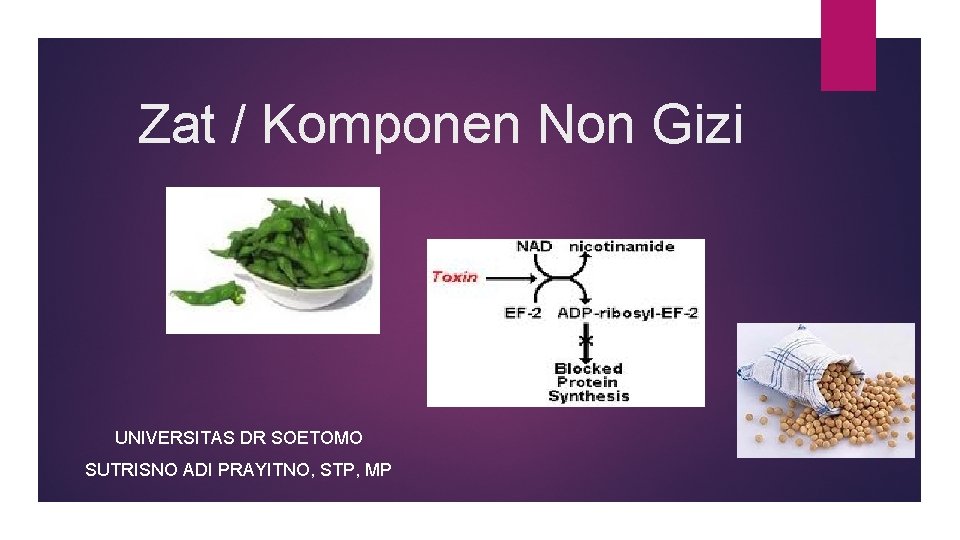 Zat / Komponen Non Gizi UNIVERSITAS DR SOETOMO SUTRISNO ADI PRAYITNO, STP, MP 