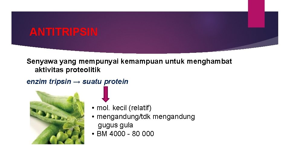 ANTITRIPSIN Senyawa yang mempunyai kemampuan untuk menghambat aktivitas proteolitik enzim tripsin → suatu protein