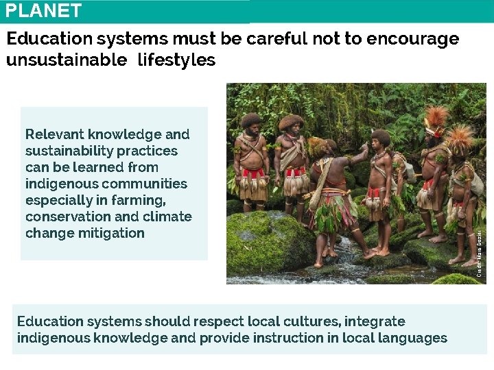 PLANET Relevant knowledge and sustainability practices can be learned from indigenous communities especially in