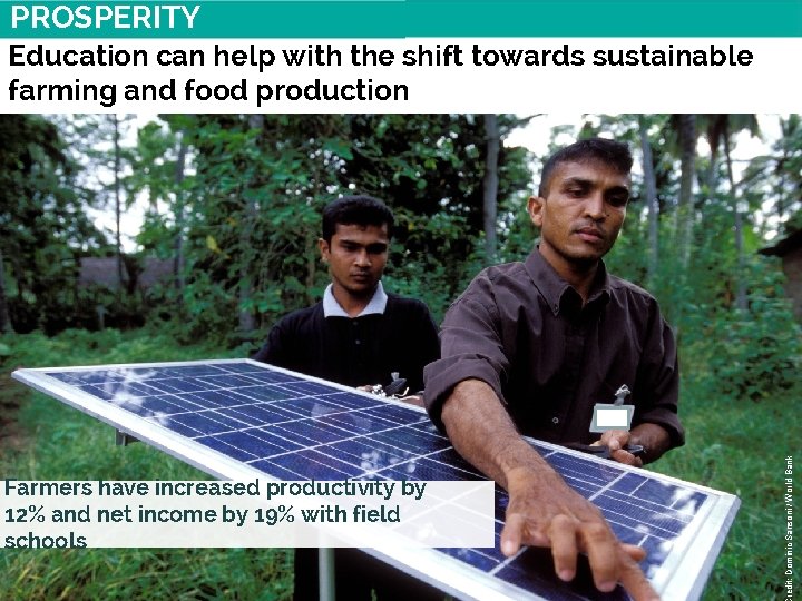 PROSPERITY Farmers have increased productivity by 12% and net income by 19% with field
