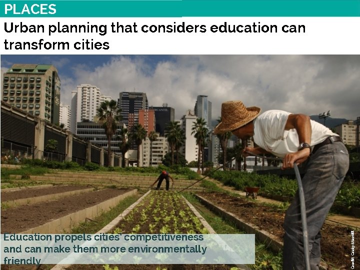 Education propels cities’ competitiveness and can make them more environmentally friendly Credit: Craig Stanfill