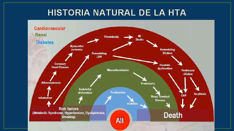 HISTORIA NATURAL DE LA HTA 