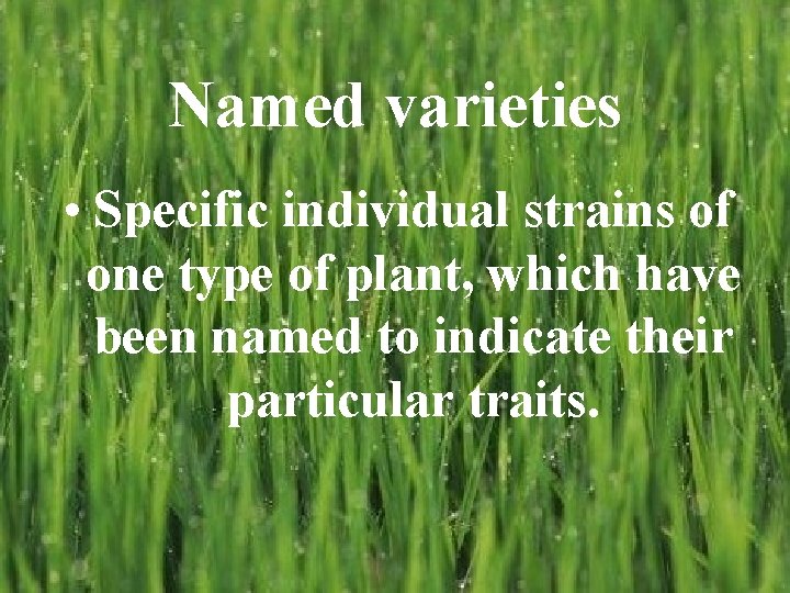 Named varieties • Specific individual strains of one type of plant, which have been