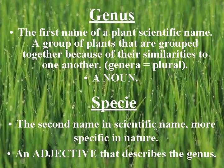 Genus • The first name of a plant scientific name. A group of plants