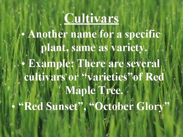 Cultivars • Another name for a specific plant, same as variety. • Example: There